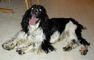 Max
