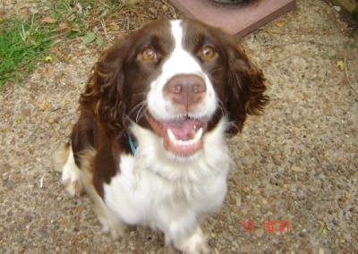 Nelli