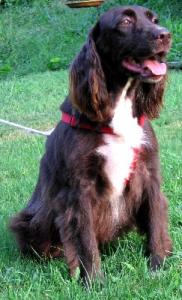 Penny 2005
