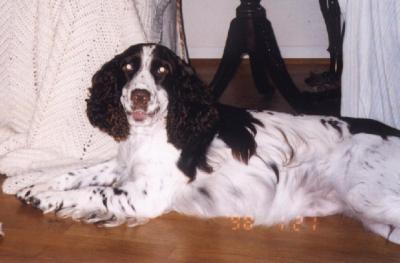 Sadie 5