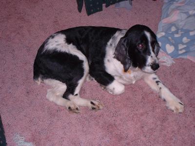 Maggie 6