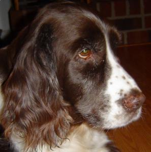 Ruby 2