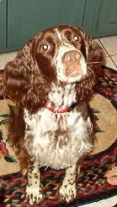 Maggie 11