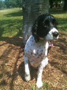 Miss Ellie