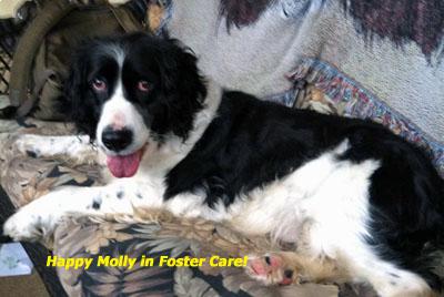 Molly 37