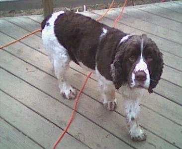Remington