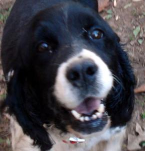 Sally 2