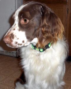 Hudson