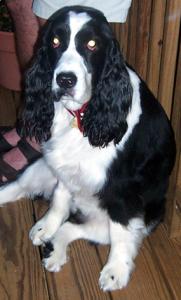 Maddie 2006A