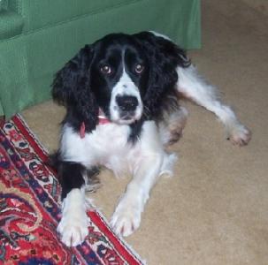 Molly 10
