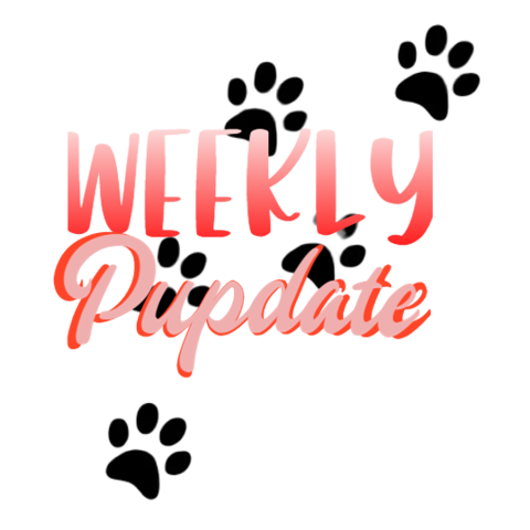 Weekly Pupdate 1-14-24