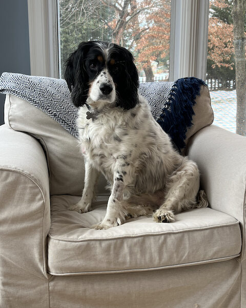 Darby 4